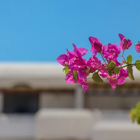 アパート Victoria & *